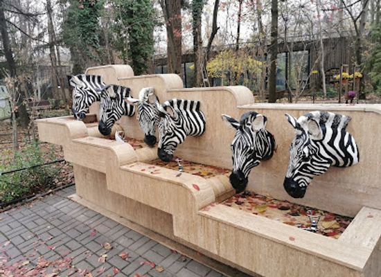 romania/muntenia/attraction/zoo-bucharest