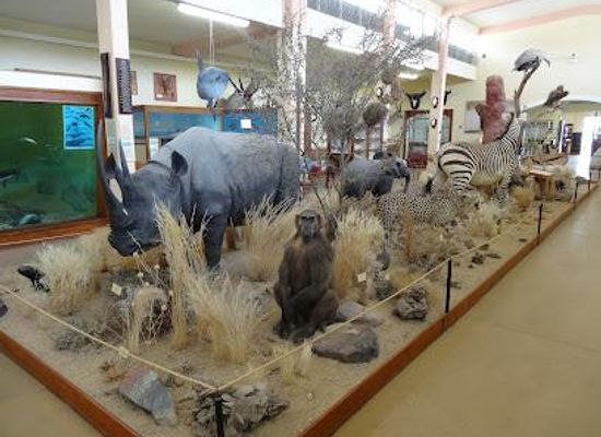 namibia/swakopmund/attraction/swakopmund-museum