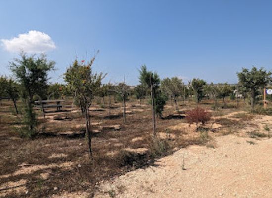 malta/southern-region/attraction/benghisa-family-park