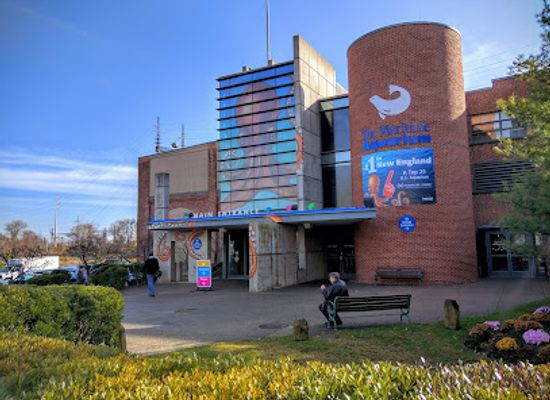connecticut/fairfield-county/attraction/the-maritime-aquarium-at-norwalk