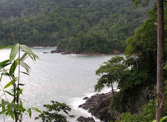 indonesia/java/attraction/sukamade-beach