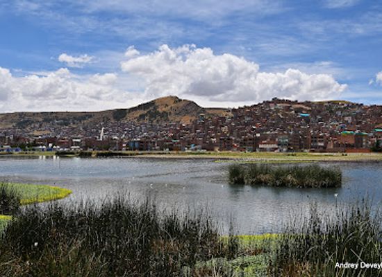 peru/lake-titicaca/attraction/malecon-ecoturistico-lago-titicaca-puno-peru