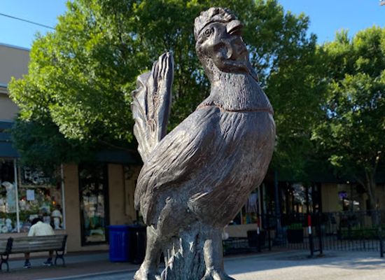 maryland/silver-spring/attraction/roscoe-the-rooster-statue