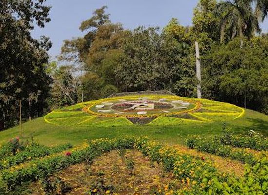 india/vadodara/attraction/sayaji-baug-zoo