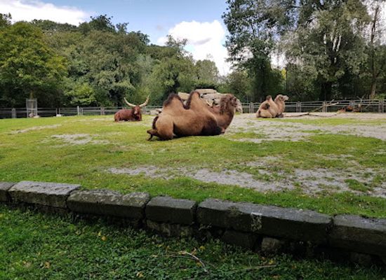germany/aachen/attraction/aachener-tierpark-euregiozoo
