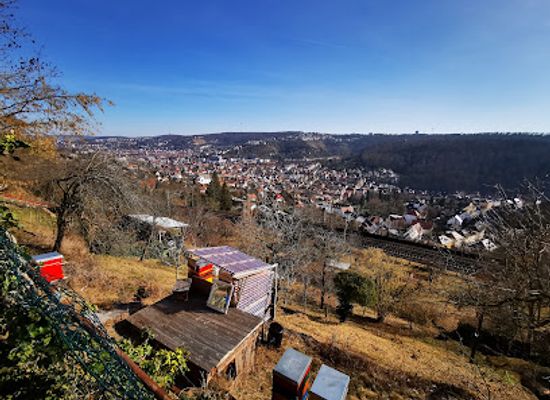 germany/stuttgart/attraction/ruine-des-hasenbergturms
