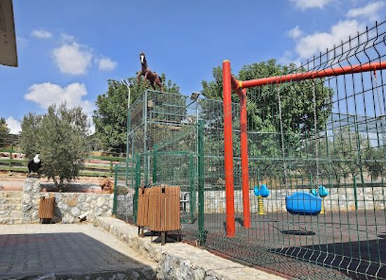 cyprus/famagusta-district/attraction/besok-at-cifligi