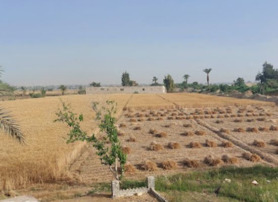 egypt/beni-suef/attraction/wahat-al-makhlouf