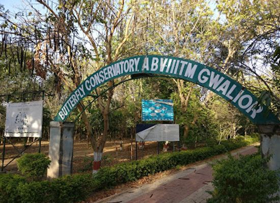 india/gwalior/attraction/butterfly-conservatory