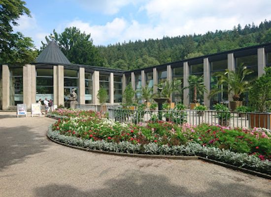 germany/vogtland/attraction/bademuseum
