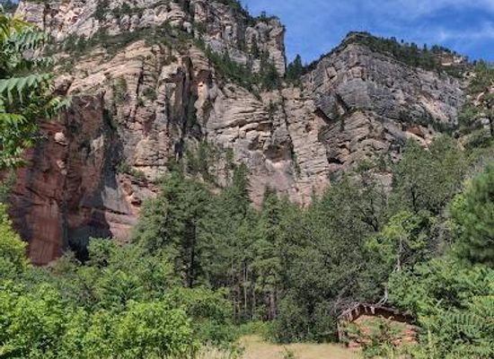 arizona/coconino-national-forest/attraction/call-of-the-canyon-picnic-site