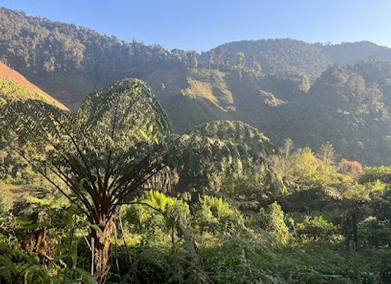guatemala/verapaces/attraction/reserva-chelemha