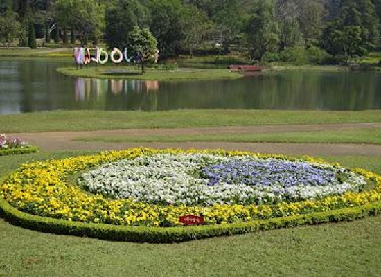 myanmar-burma/mandalay/attraction/national-kandawgyi-gardens
