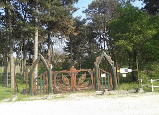 hungary/central-transdanubia/attraction/tamariska-domb-termeszetvedelmi-terulet