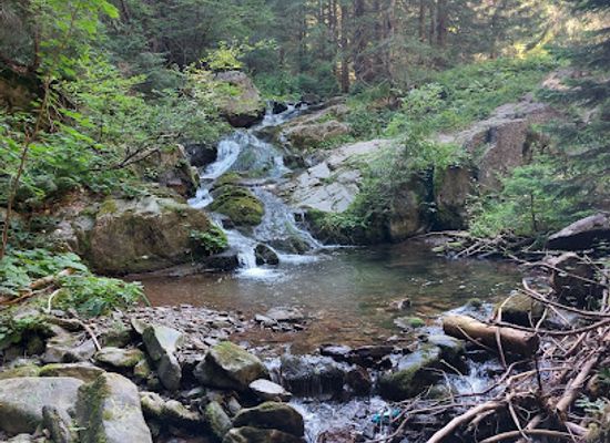 romania/bihor-mountains/attraction/chup-little-waterfall
