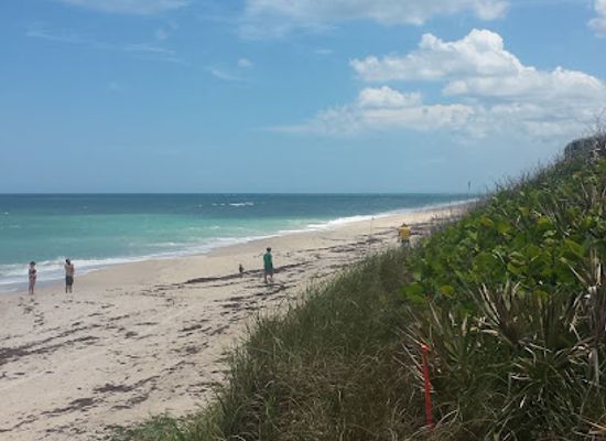 florida/space-coast/attraction/maritime-hammock-sanctuary