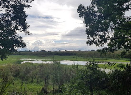 zambia/luangwa-valley/attraction/kasanka-national-park