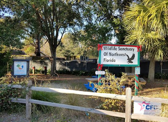 florida/pensacola/attraction/wildlife-sanctuary-of-northwest-florida