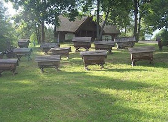 lithuania/utena/attraction/aukstaitijos-nacionalinio-parko-ir-labanoro-regioninio-parko-direkcija-bitininkystes-muziejus