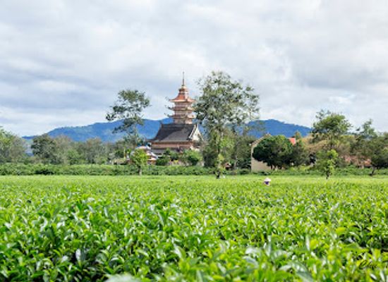vietnam/central-highlands/attraction/buu-minh-pagoda