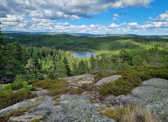 norway/agder/attraction/viltgarden