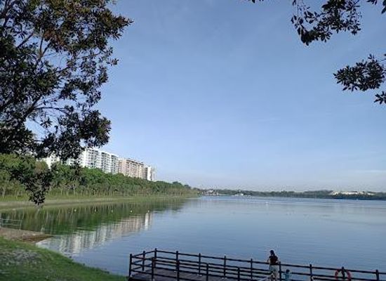 singapore/bugis/attraction/bedok-reservoir-park