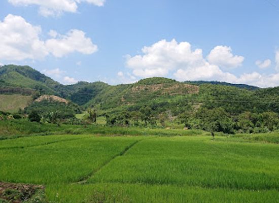 laos/muang-sing/attraction/nam-ha-national-bio-diversity-conservation-area