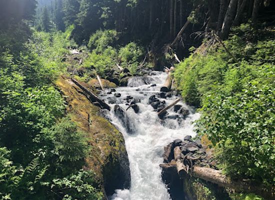 washington/northern-cascades/attraction/heliotrope-ridge-trailhead