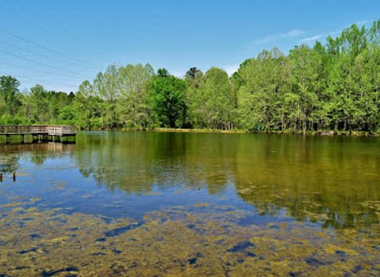 north-carolina/high-country/attraction/brumley-nature-preserve