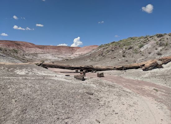arizona/petrified-forest-national-park/attraction/onyx-bridge