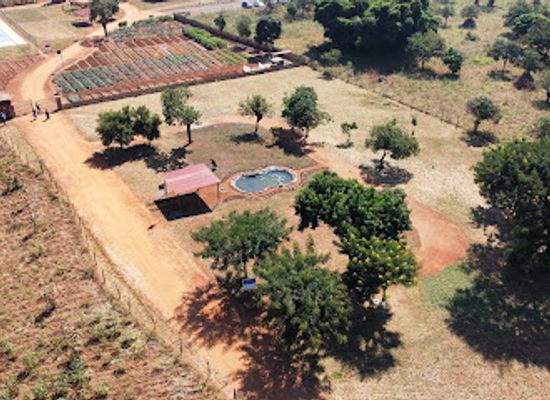 malawi/dzalanyama-forest-reserve/attraction/small-farm-cities-africa-mpingu-gardens