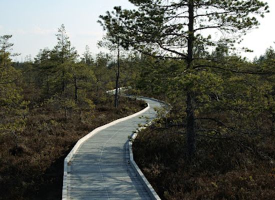 estonia/jarvamaa/attraction/riisa-vaatetorn