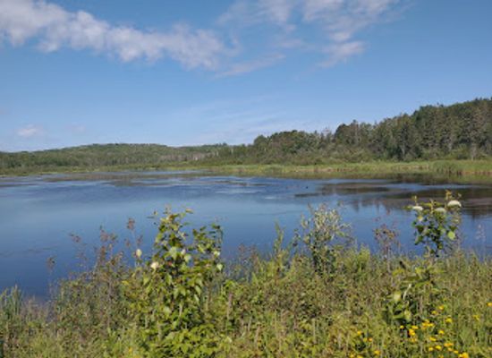 minnesota/duluth/attraction/hartley-nature-center