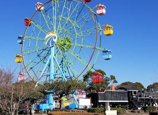 japan/kagoshima/attraction/shiroyama-park