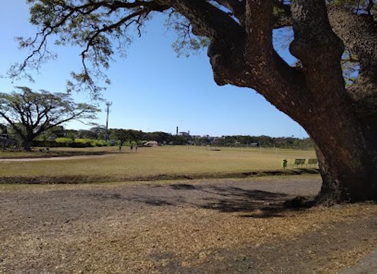 fiji/mamanuca-islands/attraction/nadovu-park