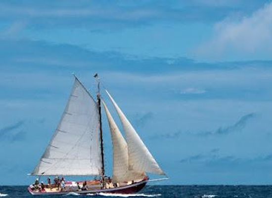 anguilla/blowing-point-village/attraction/tradition-sailing-charters-anguilla