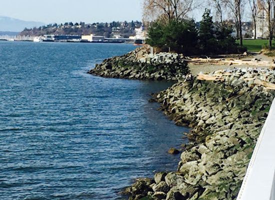 washington/olympic-peninsula/attraction/olympic-sculpture-park