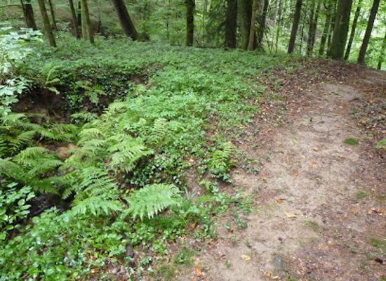 belgium/luxembourg/attraction/loschbur-hill-with-stairs-and-small-mire