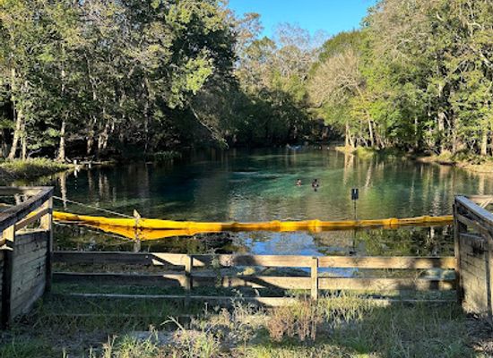 florida/santa-fe-river/attraction/ruth-b-kirby-gilchrist-blue-springs-state-park