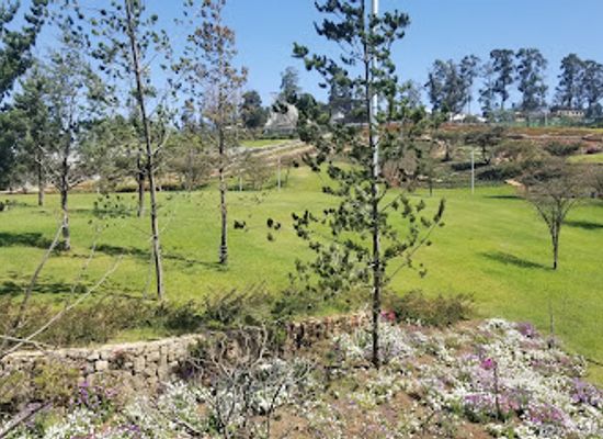 ethiopia/debre-libanos-monastery/attraction/sheger-lake