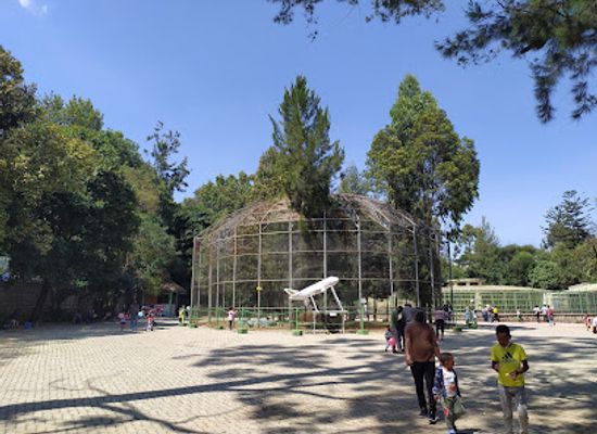 ethiopia/addis-ababa/piazza/attraction/lion-park