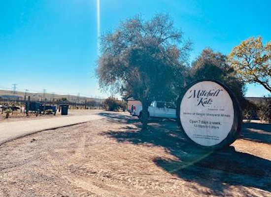 california/tracy/attraction/mitchell-katz-winery
