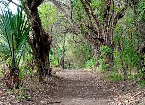 nicaragua/ometepe-island/attraction/sendero-de-las-musaceas