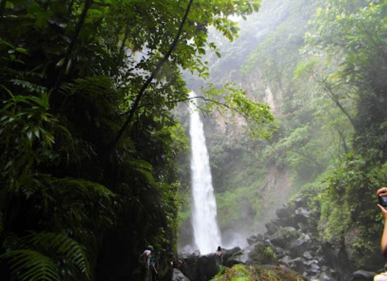 dominica/indian-river/attraction/sari-sari-waterfall