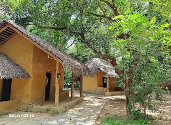 sri-lanka/colombo/attraction/ape-gama-jana-kala-kendraya
