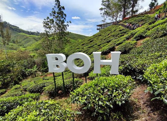 malaysia/cameron-highlands/attraction/farmers-arcade-cameron-highlands