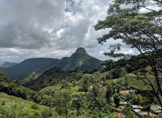 sri-lanka/kandy/attraction/knuckles-forest-reserve