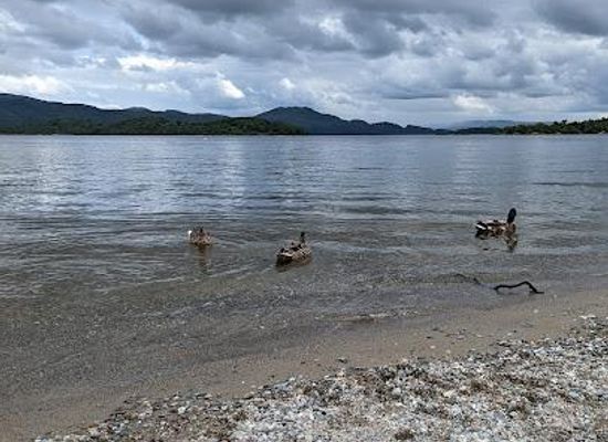 united-kingdom/dunbartonshire/attraction/luss-pier