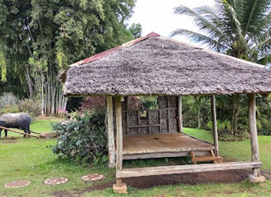 philippines/davao-region/attraction/eden-nature-park