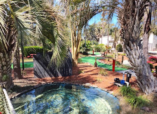 south-carolina/hilton-head-island/attraction/adventure-cove-mini-golf-arcade
